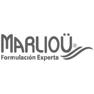 MARLIUO-LOGO-WEB